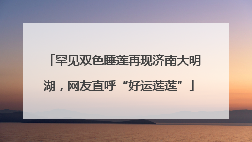 罕见双色睡莲再现济南大明湖，网友直呼“好运莲莲”