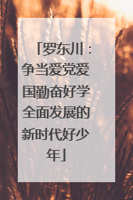 罗东川：争当爱党爱国勤奋好学全面发展的新时代好少年