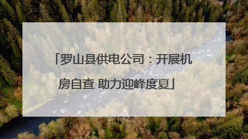 罗山县供电公司：开展机房自查 助力迎峰度夏