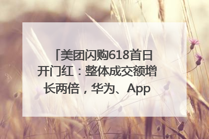 美团闪购618首日开门红：整体成交额增长两倍，华为、Apple、沃尔玛等近800个品牌翻倍增长