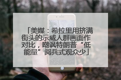 美媒：希拉里用挤满街头的示威人群画面作对比，嘲讽特朗普“低能量”阅兵式观众少