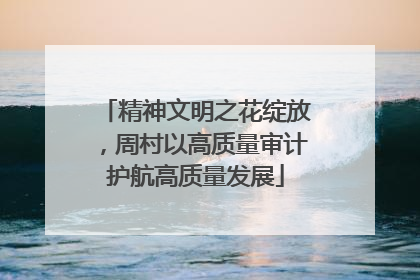 精神文明之花绽放，周村以高质量审计护航高质量发展