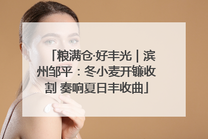 粮满仓·好丰光｜滨州邹平：冬小麦开镰收割 奏响夏日丰收曲