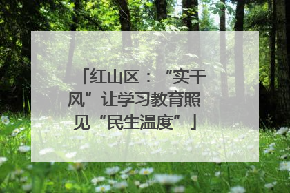 红山区：“实干风”让学习教育照见“民生温度”