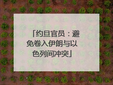 约旦官员：避免卷入伊朗与以色列间冲突