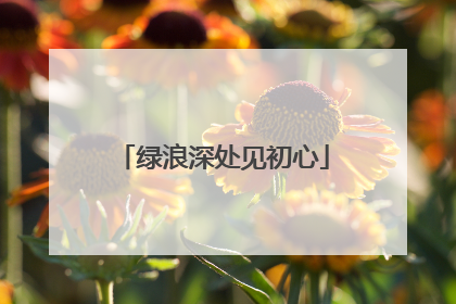 绿浪深处见初心