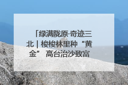 绿满陇原·奇迹三北｜梭梭林里种“黄金” 高台治沙致富很“从容”