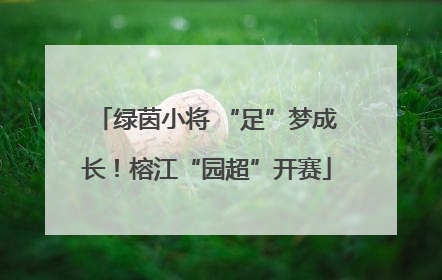 绿茵小将 “足”梦成长！榕江“园超”开赛