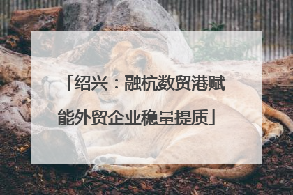 绍兴：融杭数贸港赋能外贸企业稳量提质