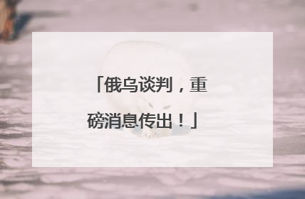 俄乌谈判，重磅消息传出！