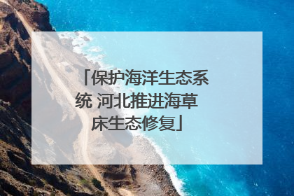 保护海洋生态系统 河北推进海草床生态修复