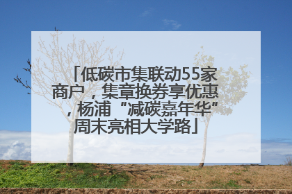 低碳市集联动55家商户，集章换券享优惠，杨浦“减碳嘉年华”周末亮相大学路