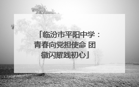 临汾市平阳中学：青春向党担使命 团徽闪耀践初心