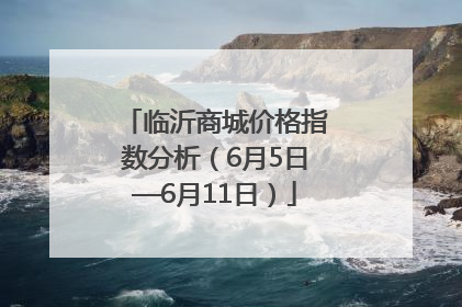 临沂商城价格指数分析（6月5日—6月11日）