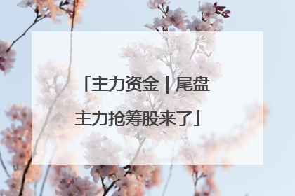 主力资金｜尾盘主力抢筹股来了