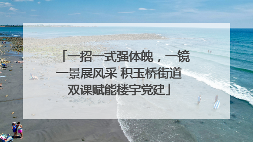 一招一式强体魄，一镜一景展风采 积玉桥街道双课赋能楼宇党建