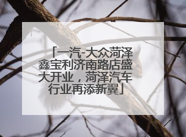 一汽-大众菏泽鑫宝利济南路店盛大开业，菏泽汽车行业再添新翼