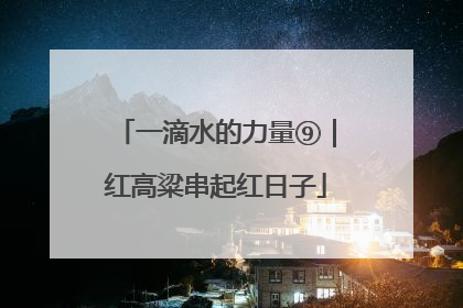 一滴水的力量⑨｜红高粱串起红日子