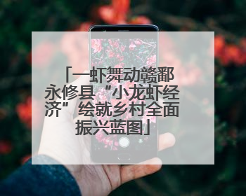 一虾舞动赣鄱 永修县“小龙虾经济”绘就乡村全面振兴蓝图