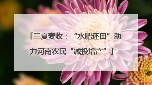 三夏麦收：“水肥还田”助力河南农民“减投增产”