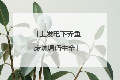 上发电下养鱼 废坑塘巧生金