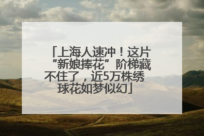上海人速冲！这片“新娘捧花”阶梯藏不住了，近5万株绣球花如梦似幻