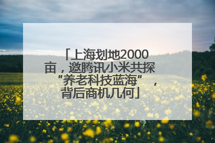 上海划地2000亩，邀腾讯小米共探“养老科技蓝海”，背后商机几何