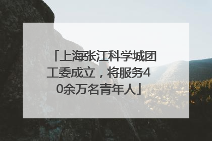 上海张江科学城团工委成立，将服务40余万名青年人