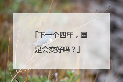 下一个四年，国足会变好吗？