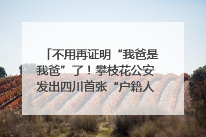 不用再证明“我爸是我爸”了！攀枝花公安发出四川首张“户籍人口直系亲属关系谱”