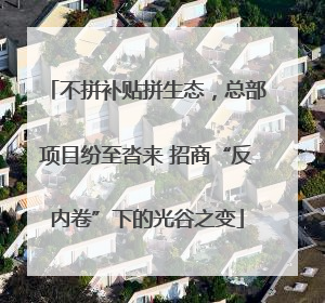不拼补贴拼生态，总部项目纷至沓来 招商“反内卷”下的光谷之变