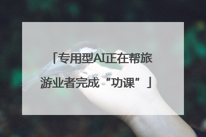 专用型AI正在帮旅游业者完成“功课”