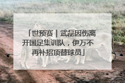 世预赛｜武磊因伤离开国足集训队，伊万不再补招顶替球员