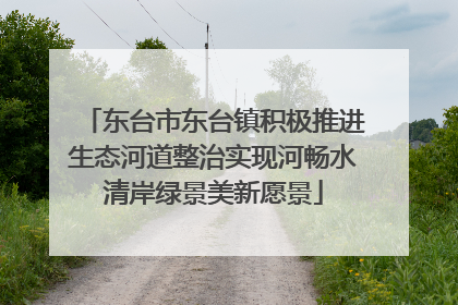 东台市东台镇积极推进生态河道整治实现河畅水清岸绿景美新愿景