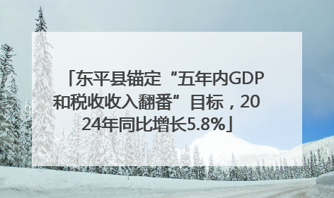 东平县锚定“五年内GDP和税收收入翻番”目标，2024年同比增长5.8%