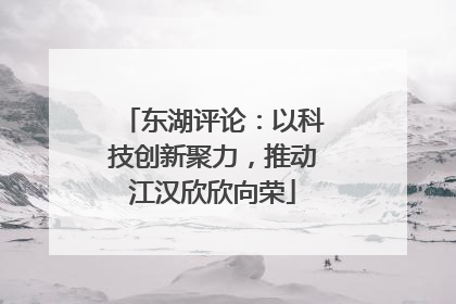 东湖评论：以科技创新聚力，推动江汉欣欣向荣