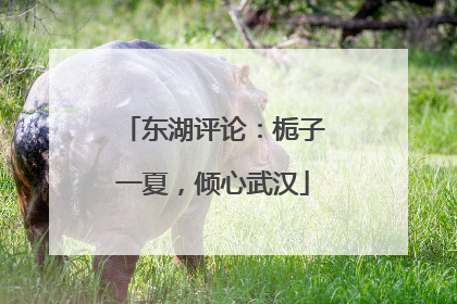 东湖评论：栀子一夏，倾心武汉