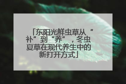 东阳光鲜虫草从“补”到“养”，冬虫夏草在现代养生中的新打开方式