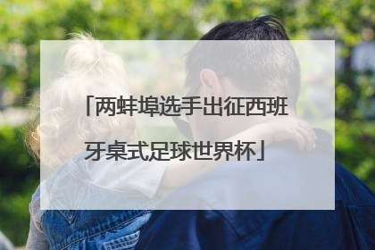 两蚌埠选手出征西班牙桌式足球世界杯