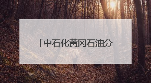 中石化黄冈石油分公司多措并举推进“安全生产月”系列活动走深走实