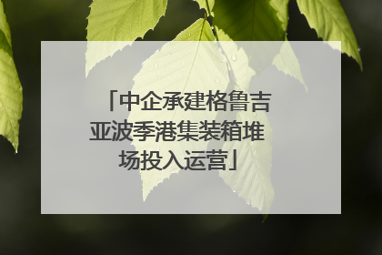 中企承建格鲁吉亚波季港集装箱堆场投入运营