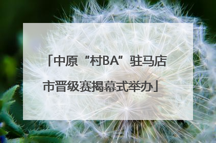 中原“村BA”驻马店市晋级赛揭幕式举办