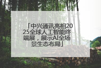 中兴通讯亮相2025全球人工智能终端展，展示AI全场景生态布局