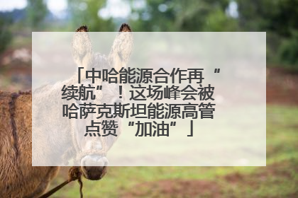 中哈能源合作再“续航”！这场峰会被哈萨克斯坦能源高管点赞“加油”