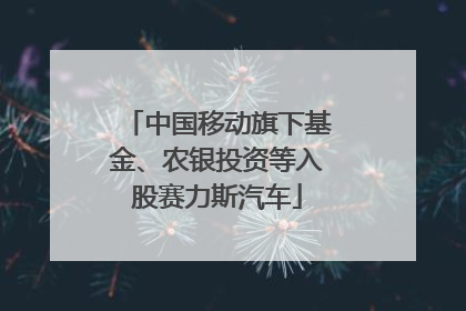 中国移动旗下基金、农银投资等入股赛力斯汽车