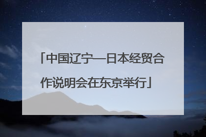 中国辽宁—日本经贸合作说明会在东京举行