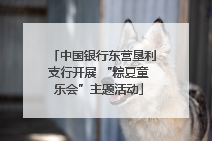 中国银行东营垦利支行开展 “粽夏童乐会”主题活动
