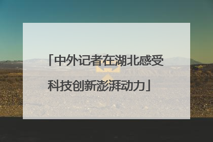 中外记者在湖北感受科技创新澎湃动力