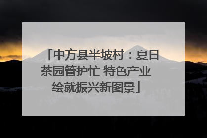 中方县半坡村：夏日茶园管护忙 特色产业绘就振兴新图景