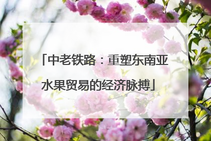 中老铁路：重塑东南亚水果贸易的经济脉搏